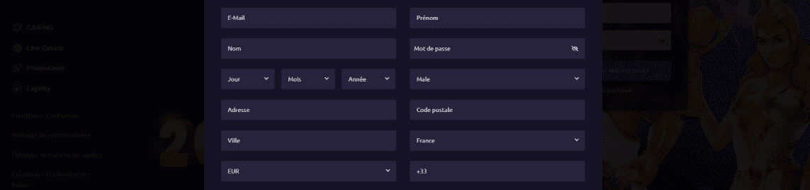 Rizz Casino en Ligne Avis FR